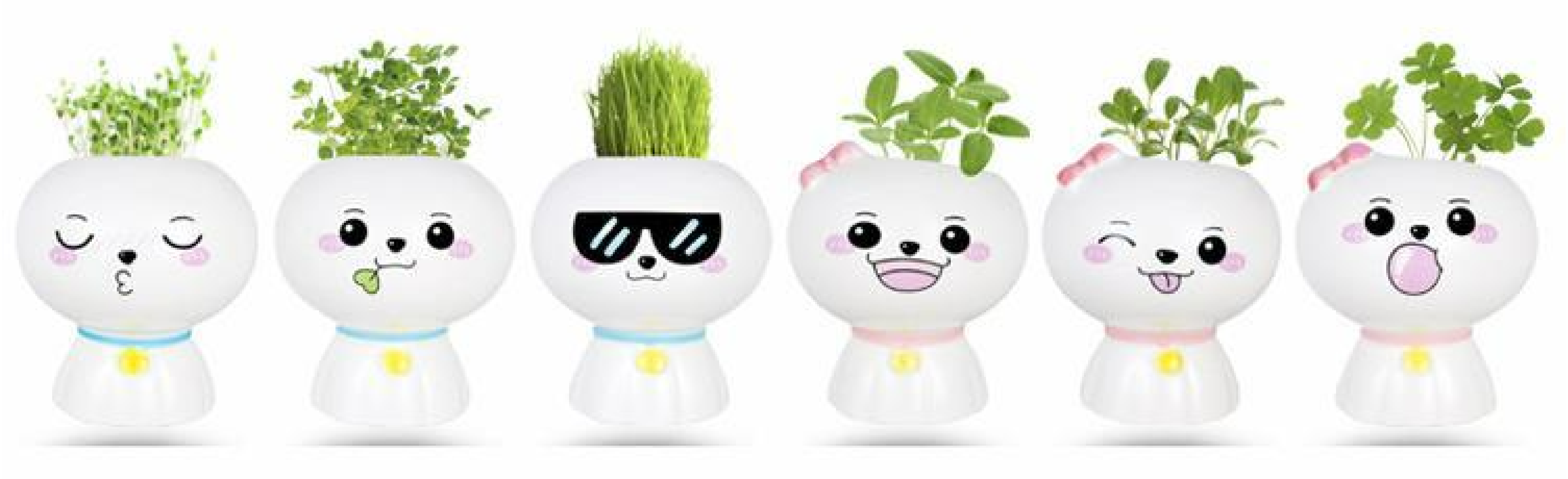 Chia Pets / Grass head